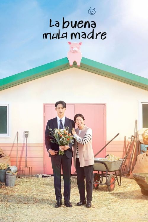 Póster de 나쁜 엄마